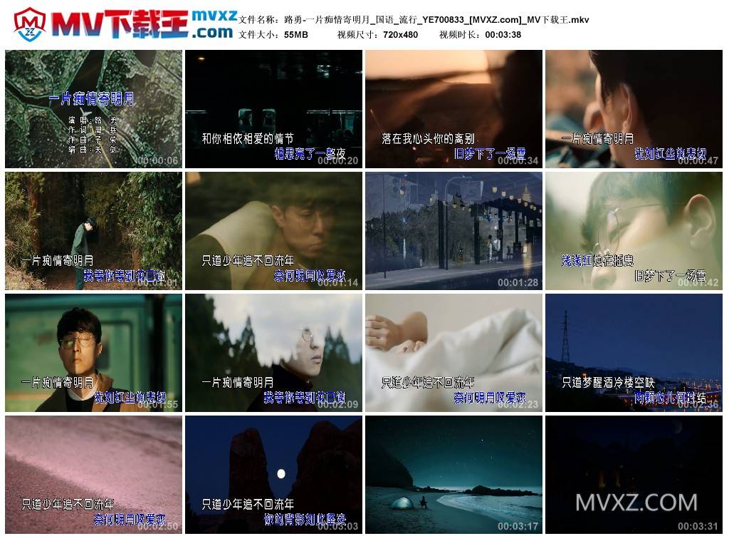 路勇-一片痴情寄明月_国语_流行_YE700833